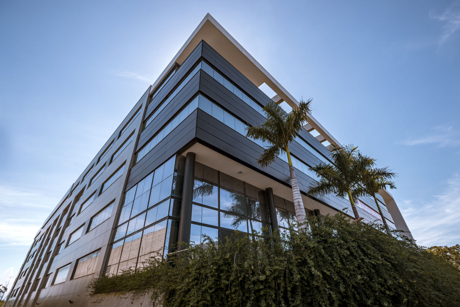 Andre Miranda Fotgorafia (5)